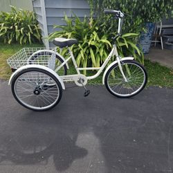 Triwheeler 24" Bike 7 Speed