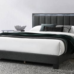 Queen Grey Led Platform Bed With Orthopedic Mattress Included!!