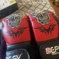 12 Oz Boxing Gloves Like New