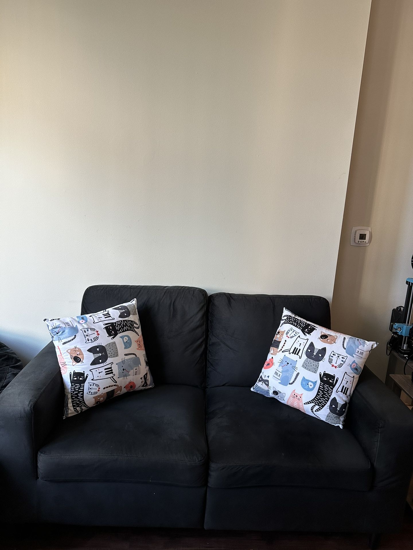 Loveseat with Pillows