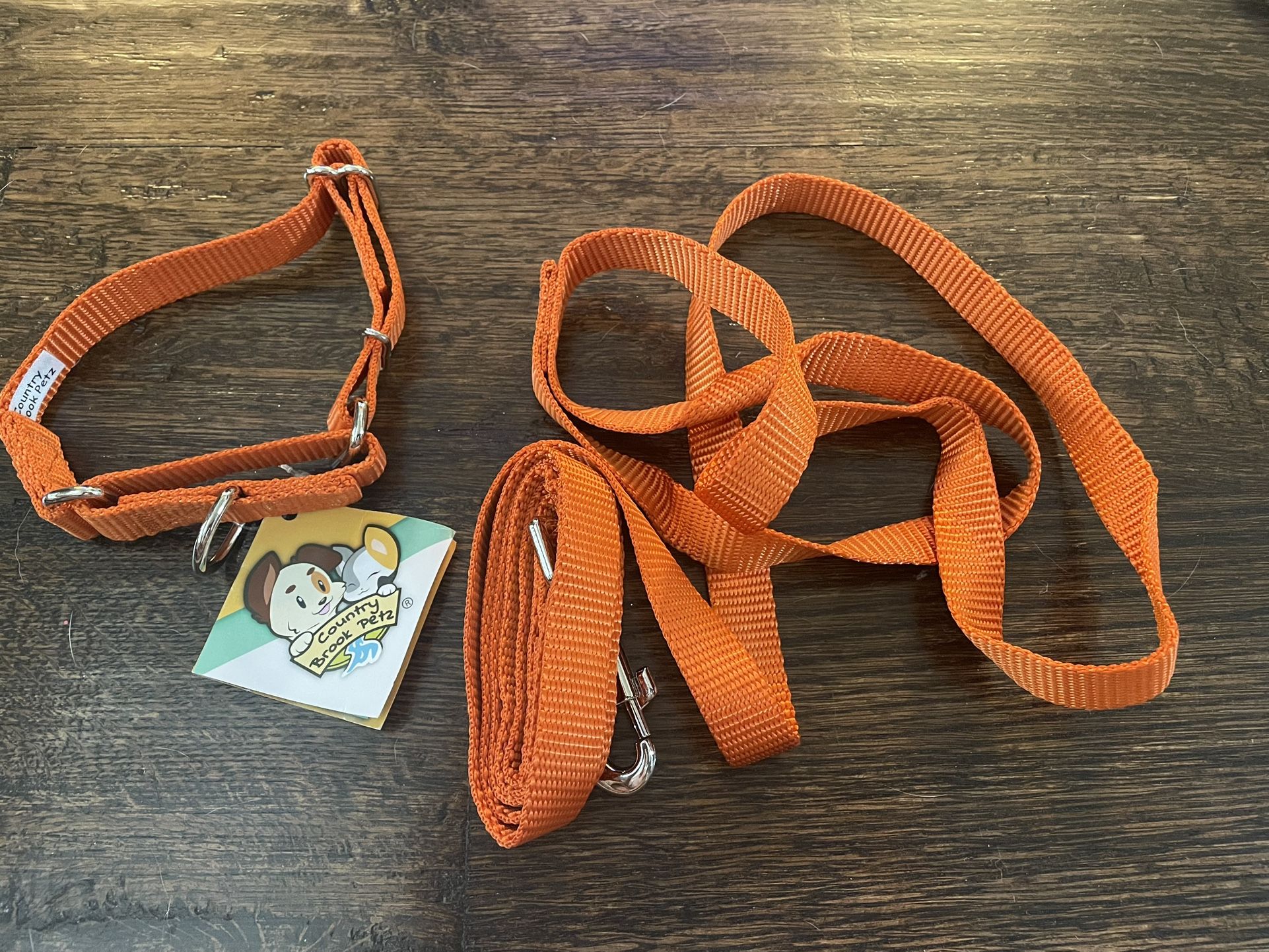 Dog Collar And Leash Never Used