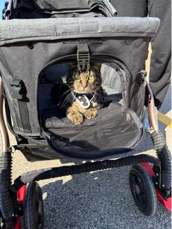 HPZ pet rover stroller
