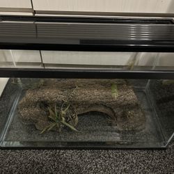 30 Gallon Fish Tank 