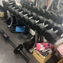 Life Fitness Weights Stand And Dumbbells 