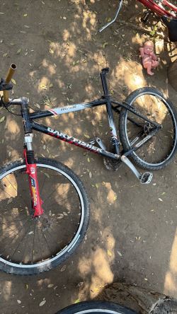 bike