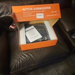 Under-seat 10 In Subwoofer W/Amplifier 