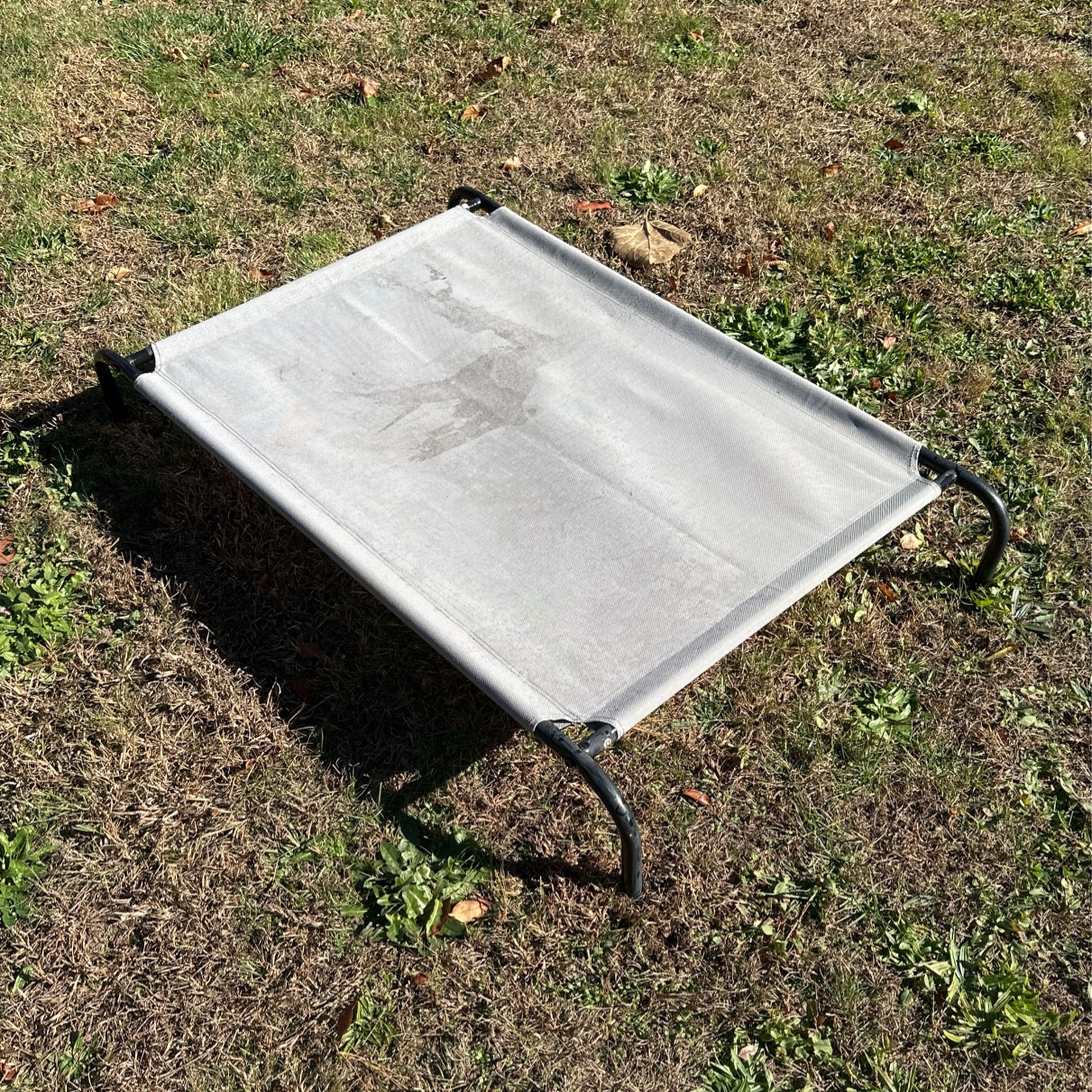 Raised Dog Bed