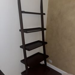 Ladder Shelf
