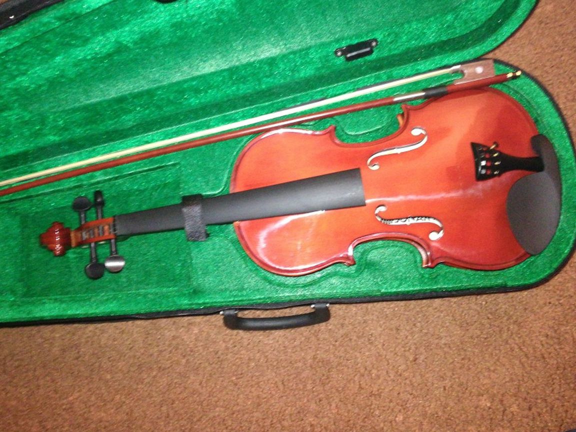 New Violin, Only Missing Strings 4/4 Size
