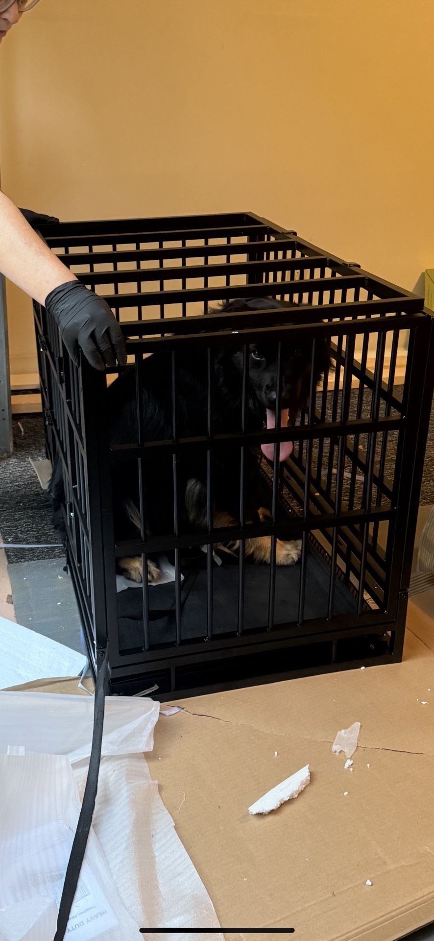 Dog Cage 38 Inch
