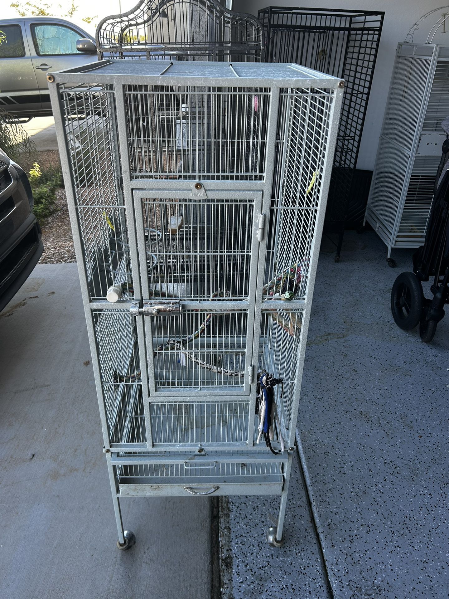 Bird Cages