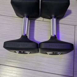 Pair Of Peloton 30lb Weights