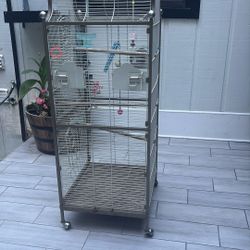 Bird Cage 