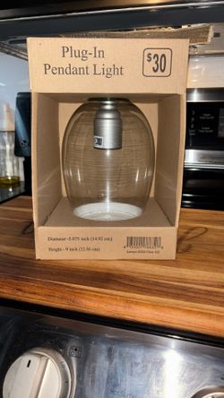 Plug-In Pendant Light 
