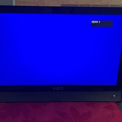 Used Vizio Monitor 