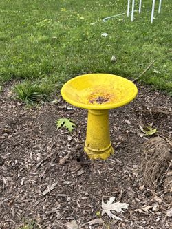 Bird Bath 