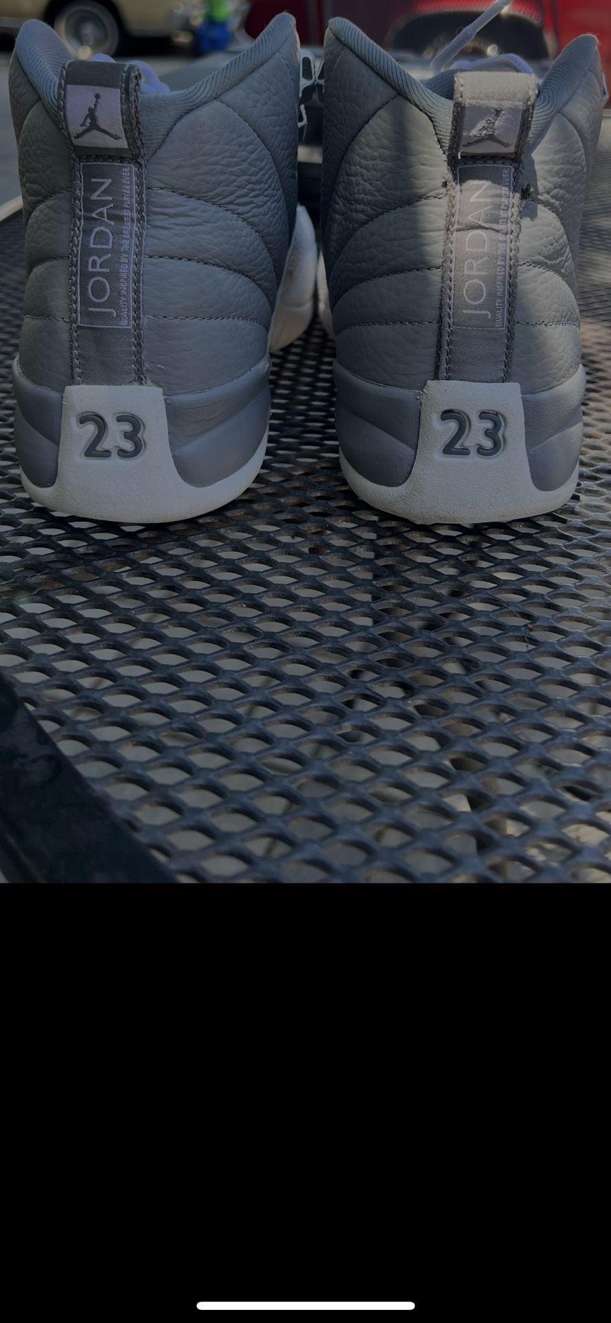 Jordan 12s