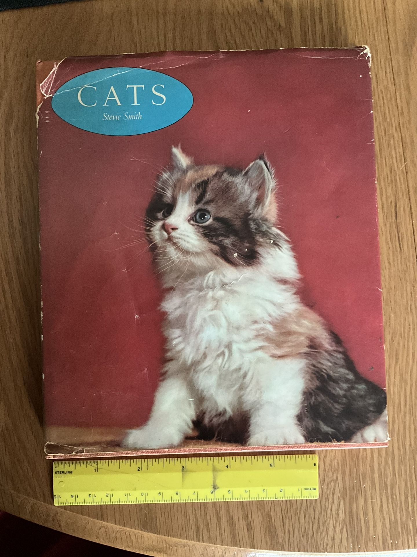 Book - Cats - Hardcover Cat Picture Book