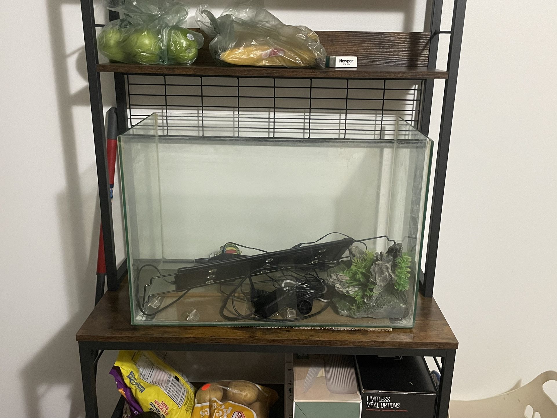30g Tank