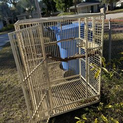 Bird Cage
