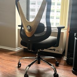 Office Chair/ desk Chair