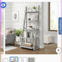 Ladder bookcase/shelving/storage