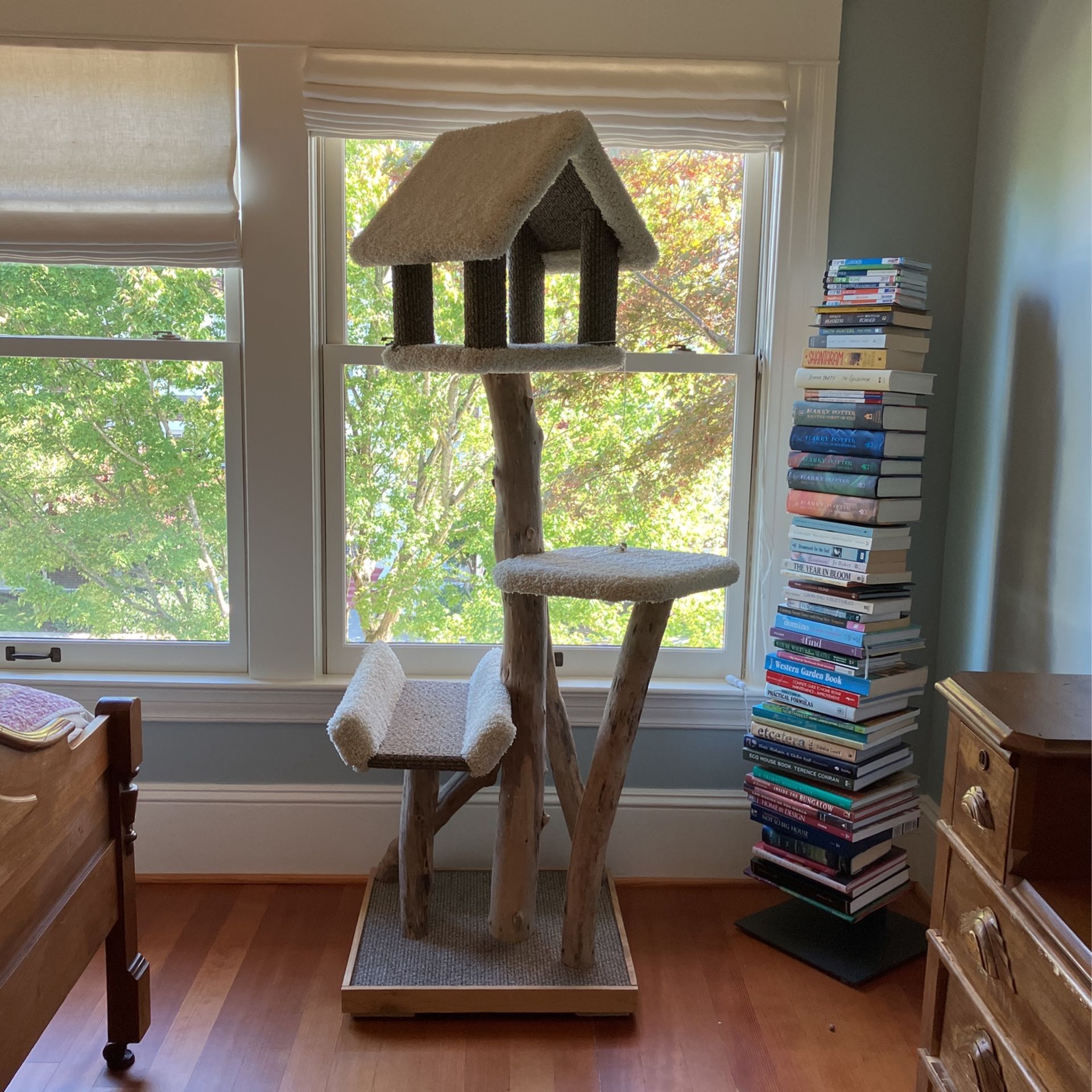 Cat Tree With Driftwood for Sale in Seattle, WA OfferUp