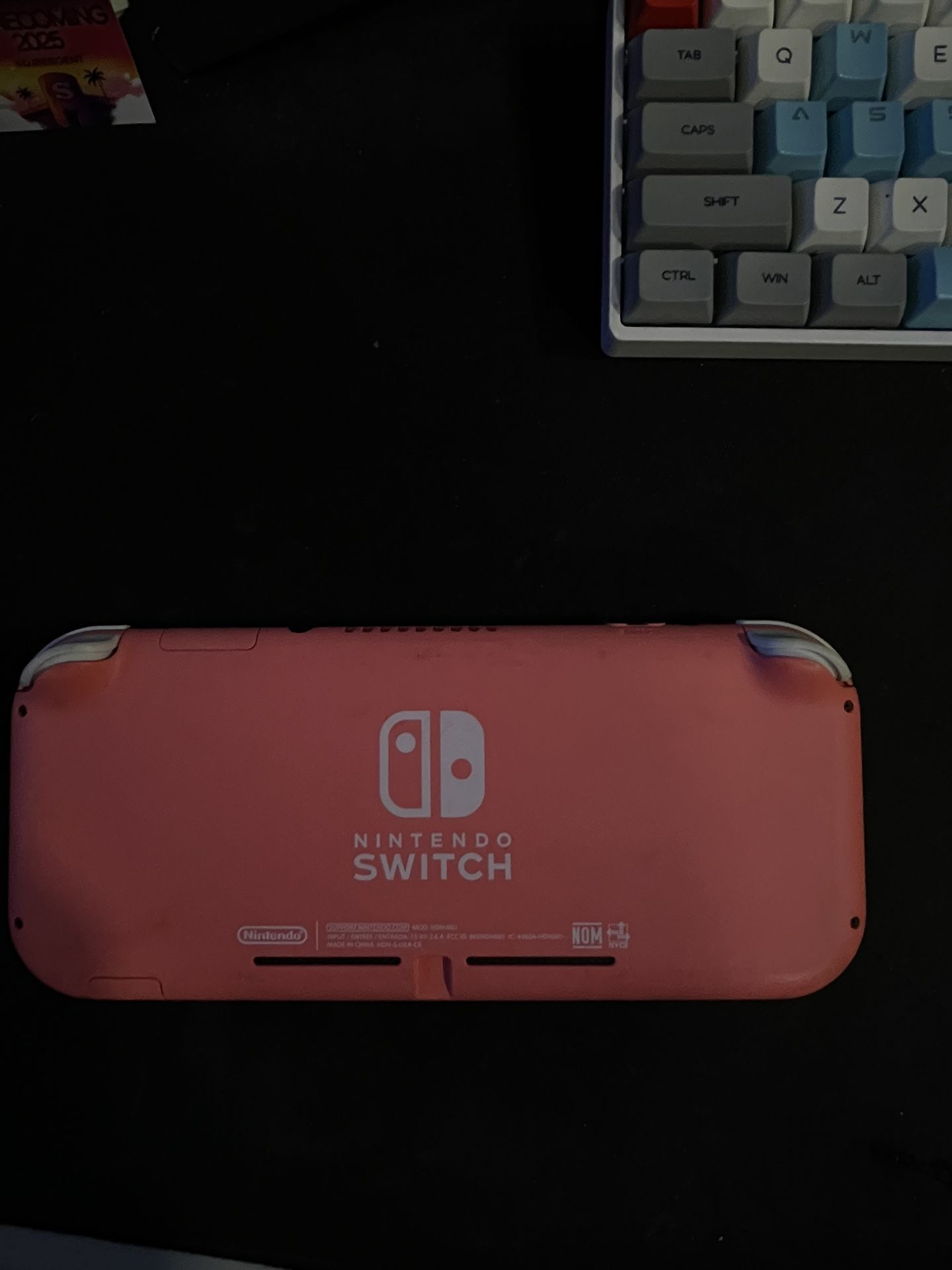 Nintendo Switch Lite