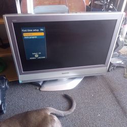 Panasonic 32
