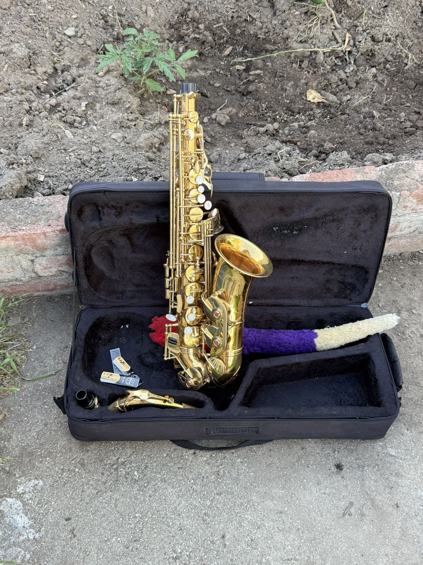 hermosa Alto Saxophone 🎷