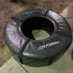 Life Fitness 220lb Weighted Tire