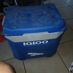 Igloo Cooler 