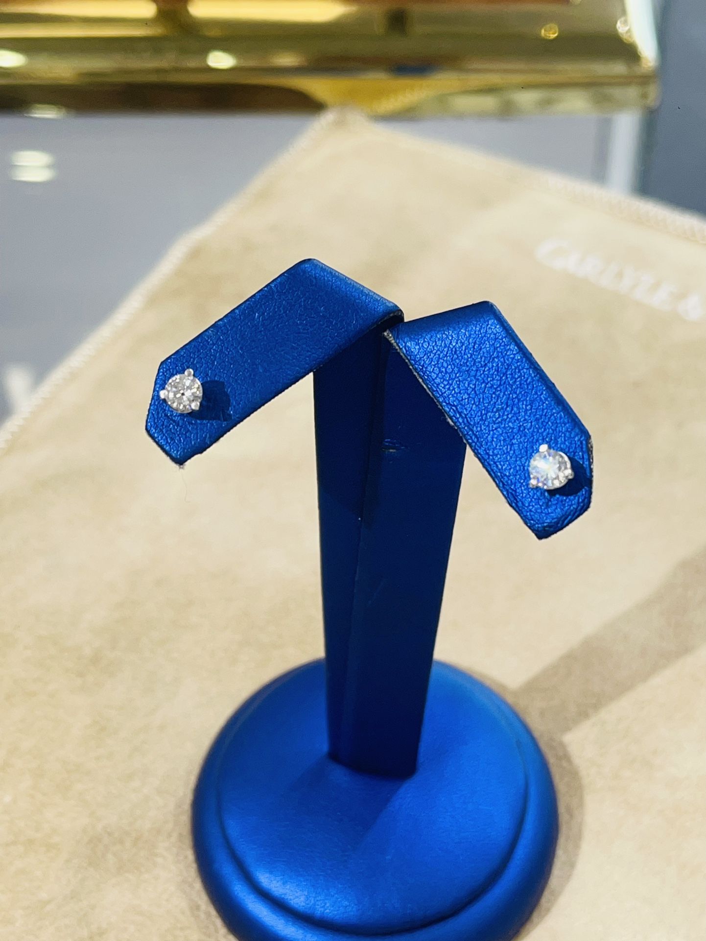 Hold Diamond Earrings