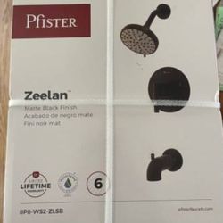 Pfister Zeelan Shower Faucet 