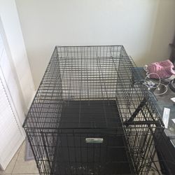 Midwest iCrate 1548dd - Large Dog Crate