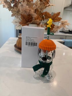 NEW Special Edition  Starbucks x Peanuts Snoopy Glass Cup