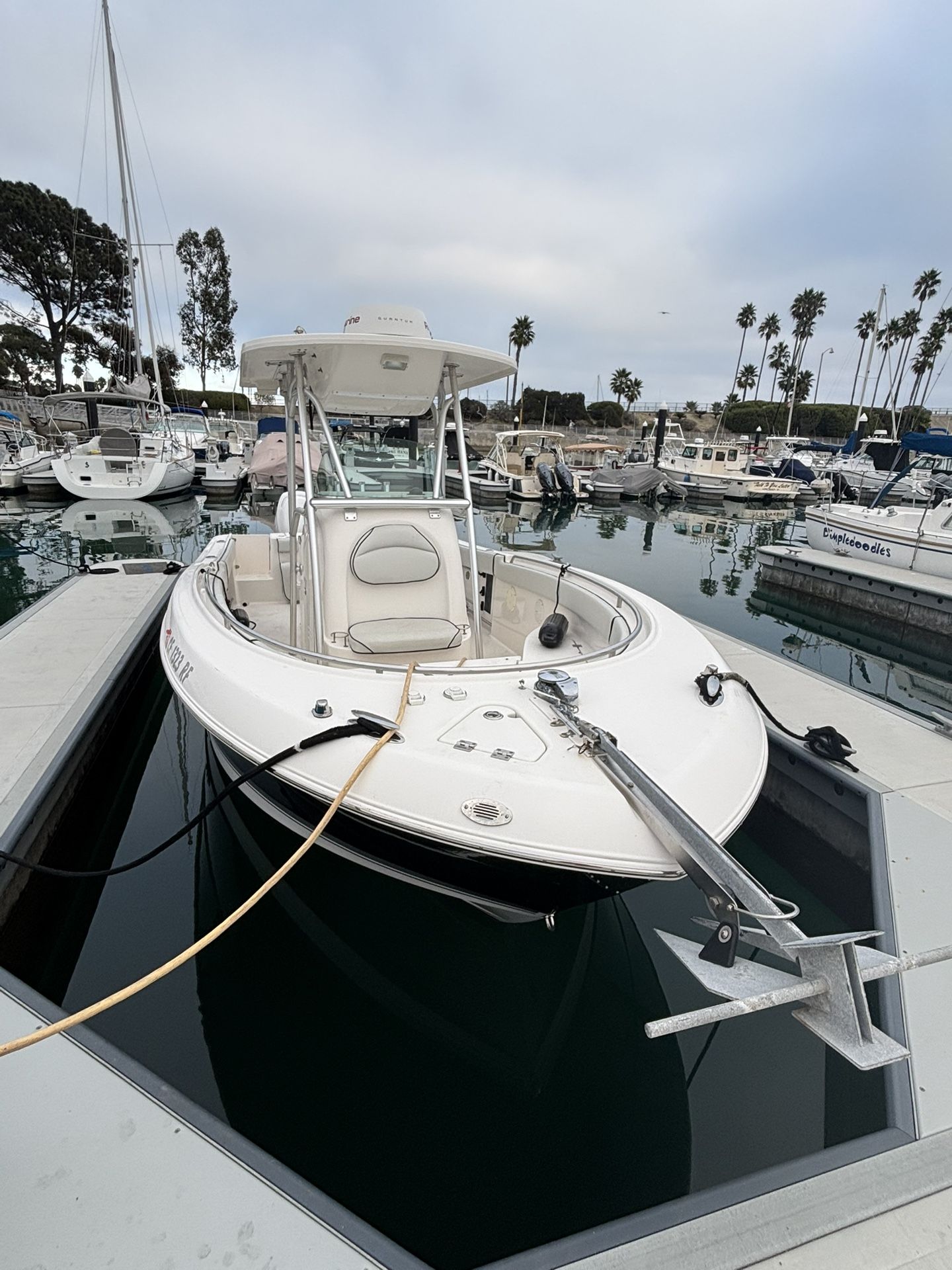2005 Robalo R240