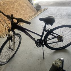 Schwinn Mountain Bike Female