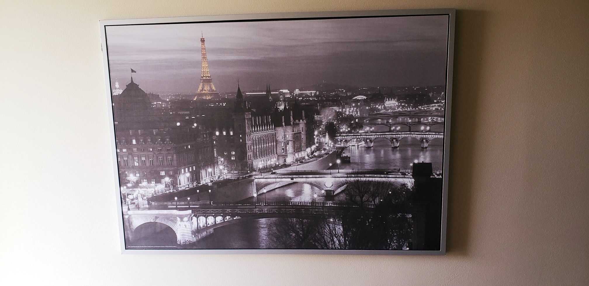 Large IKEA Canvas Paris Picture