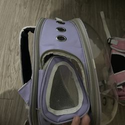Cat Backpack 