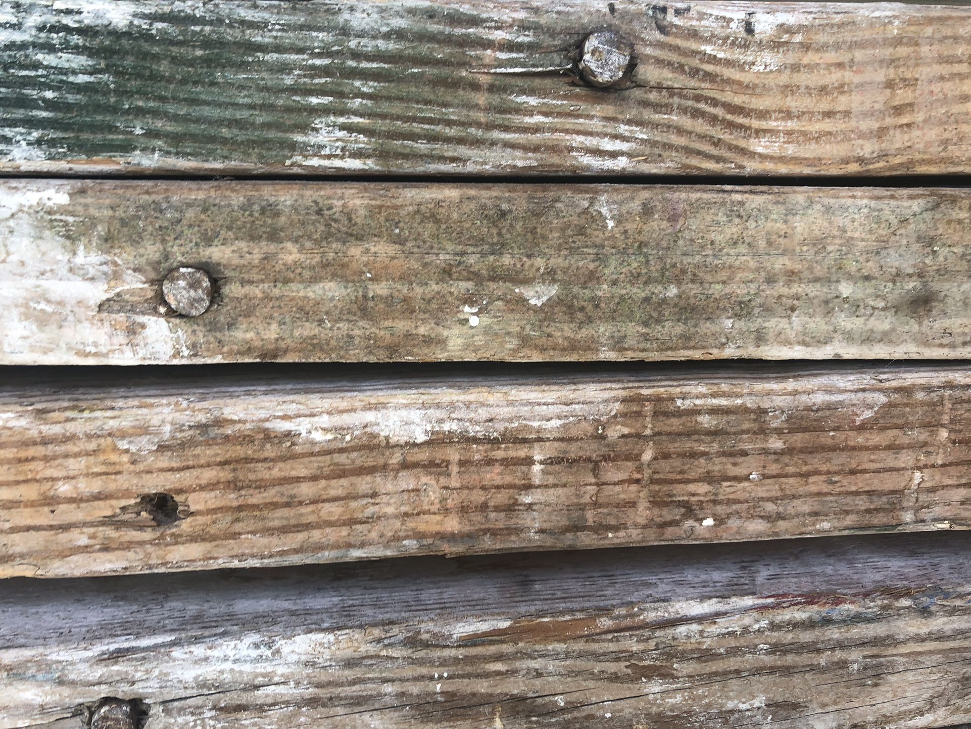 12ft Plank 9in wide 1 7/8 thick Pinned