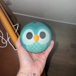 Alexa Owl
