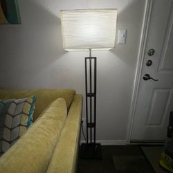 2  Contemporary Living Room Floor Lamps