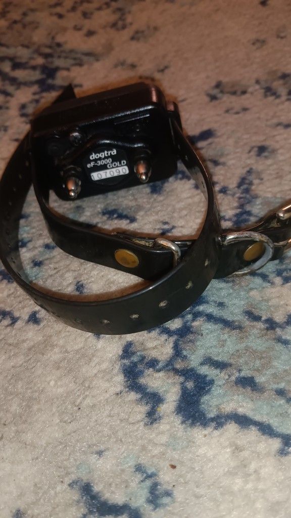 Dogtra ef 3000 gold collar