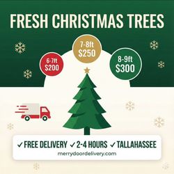 Christmas Tree (Free Delivery)