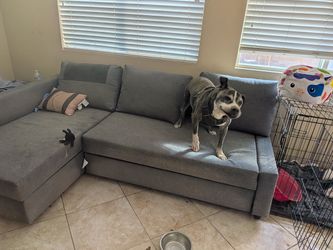 Moving sale need everything gone asap