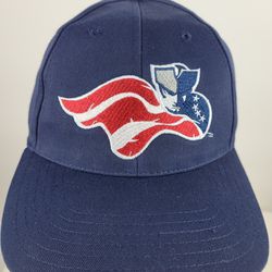 Somerset Patriots Minor League Baseball MiLB NY Yankees Snapback Hat Cap Blue