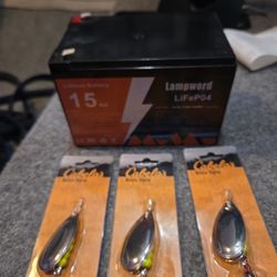 15 Amp Hour Lithium Battery 