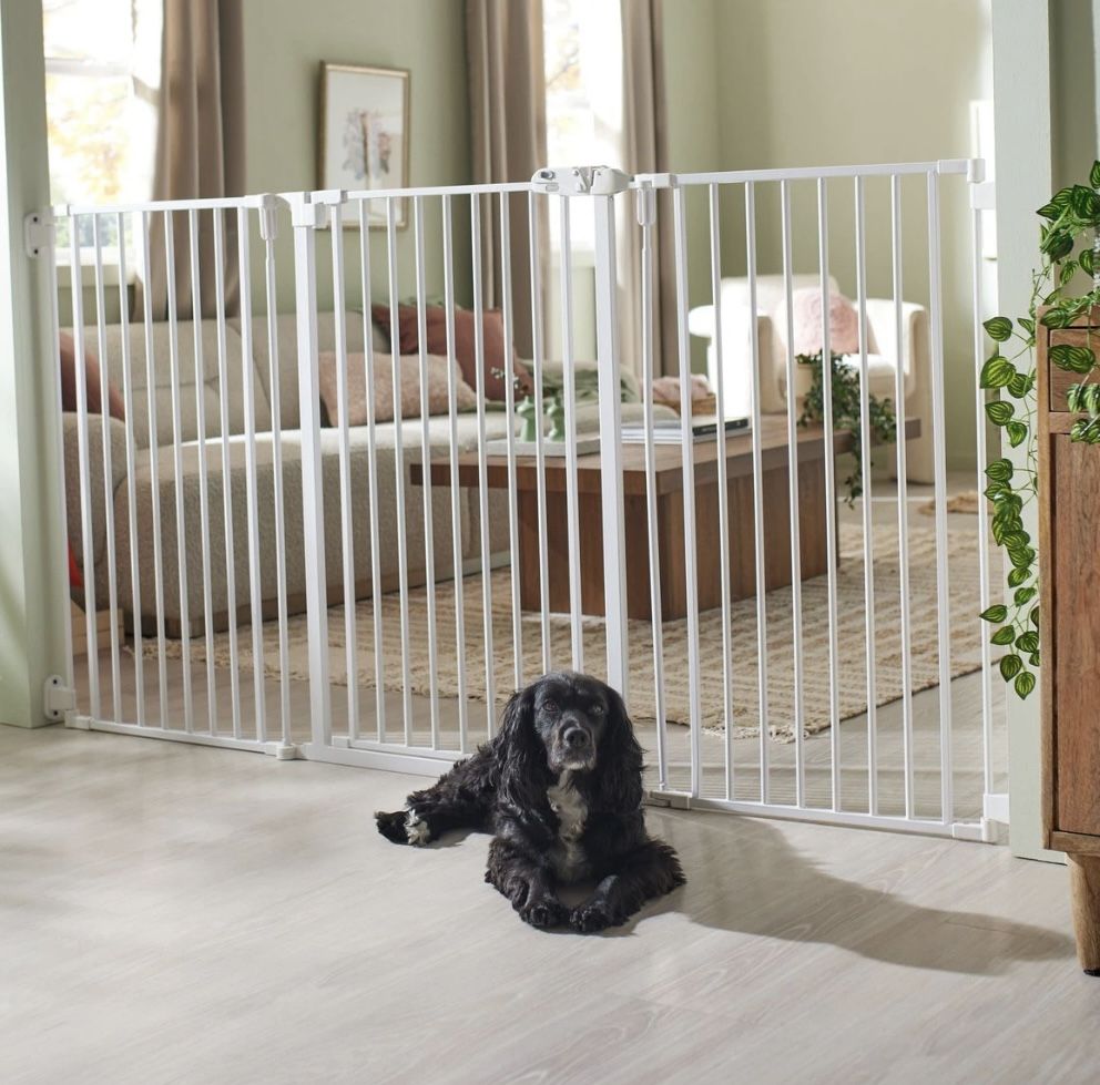 Tall Dog Gate