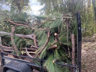 Tree Cuts